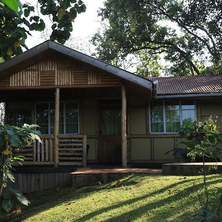 Nkuringo Bwindi Gorilla Lodge Eksteriør billede