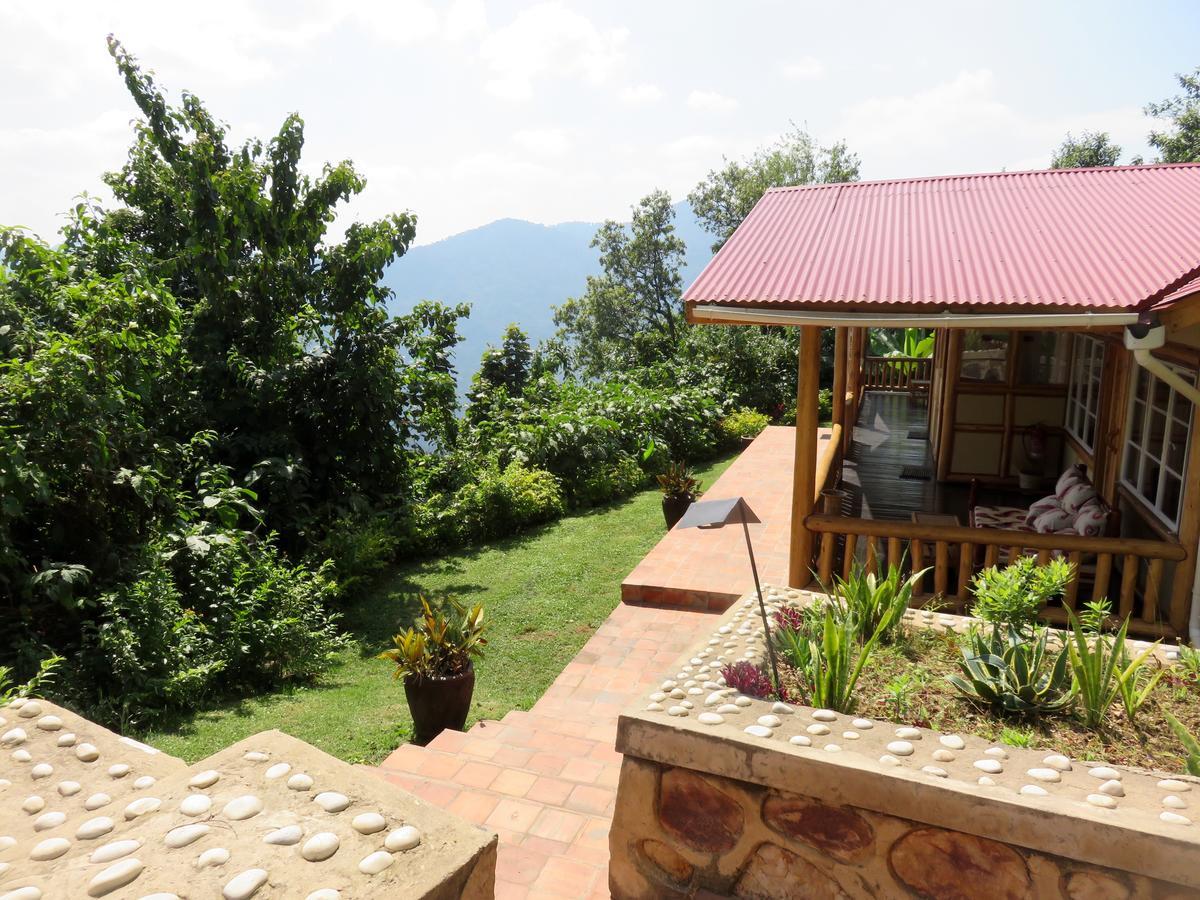 Nkuringo Bwindi Gorilla Lodge Eksteriør billede