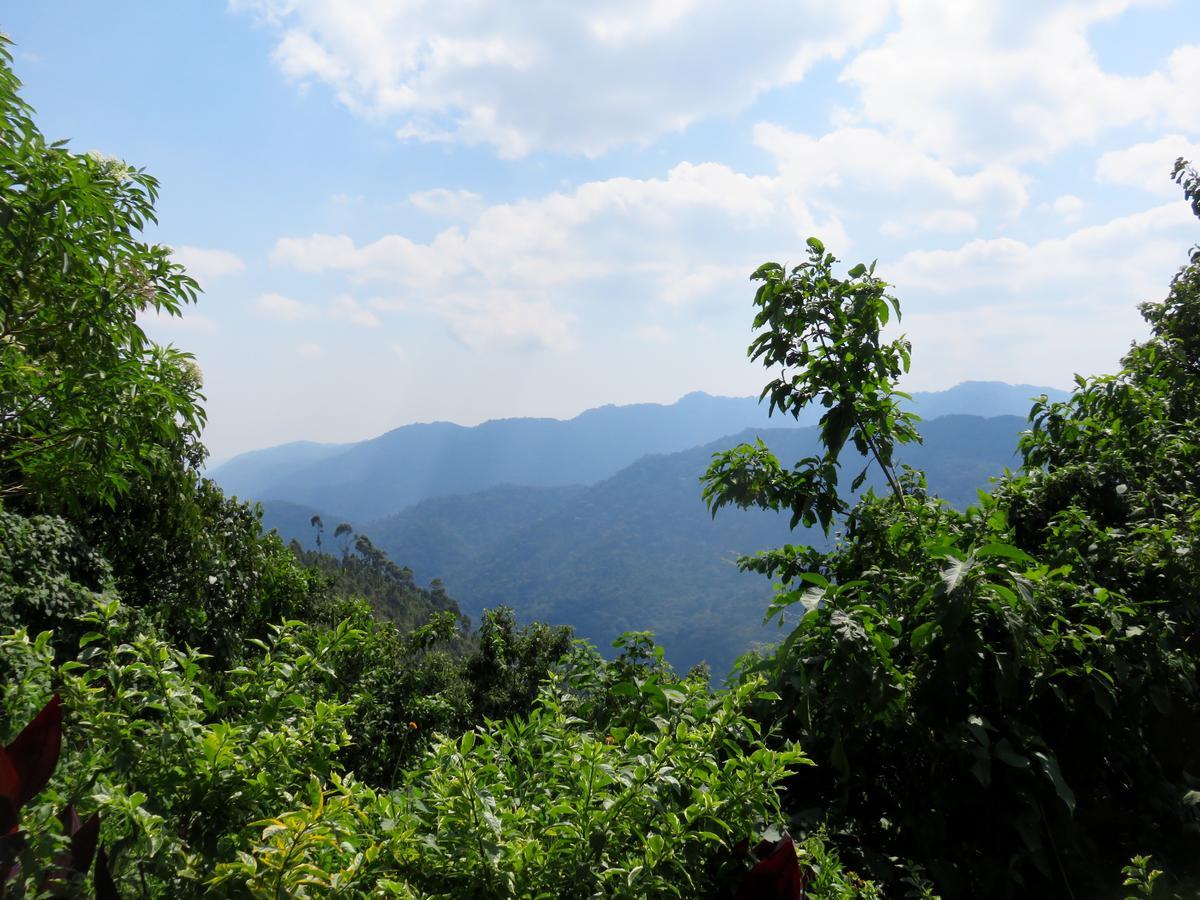 Nkuringo Bwindi Gorilla Lodge Eksteriør billede