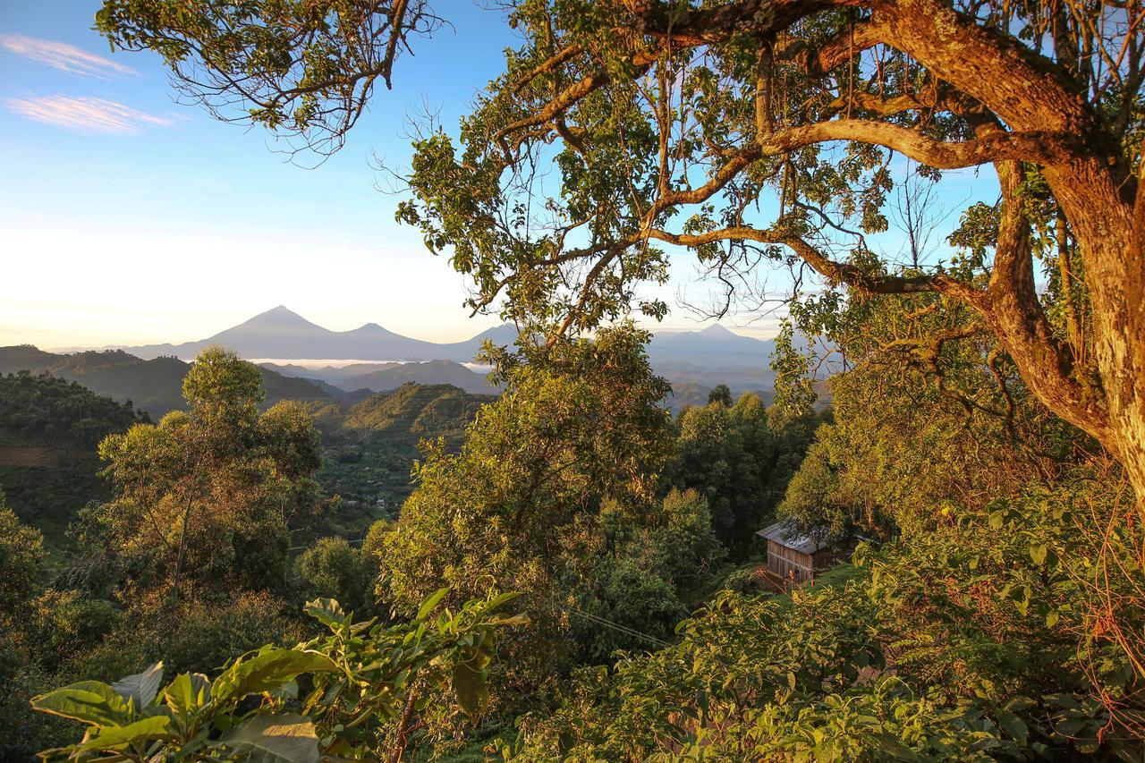 Nkuringo Bwindi Gorilla Lodge Eksteriør billede