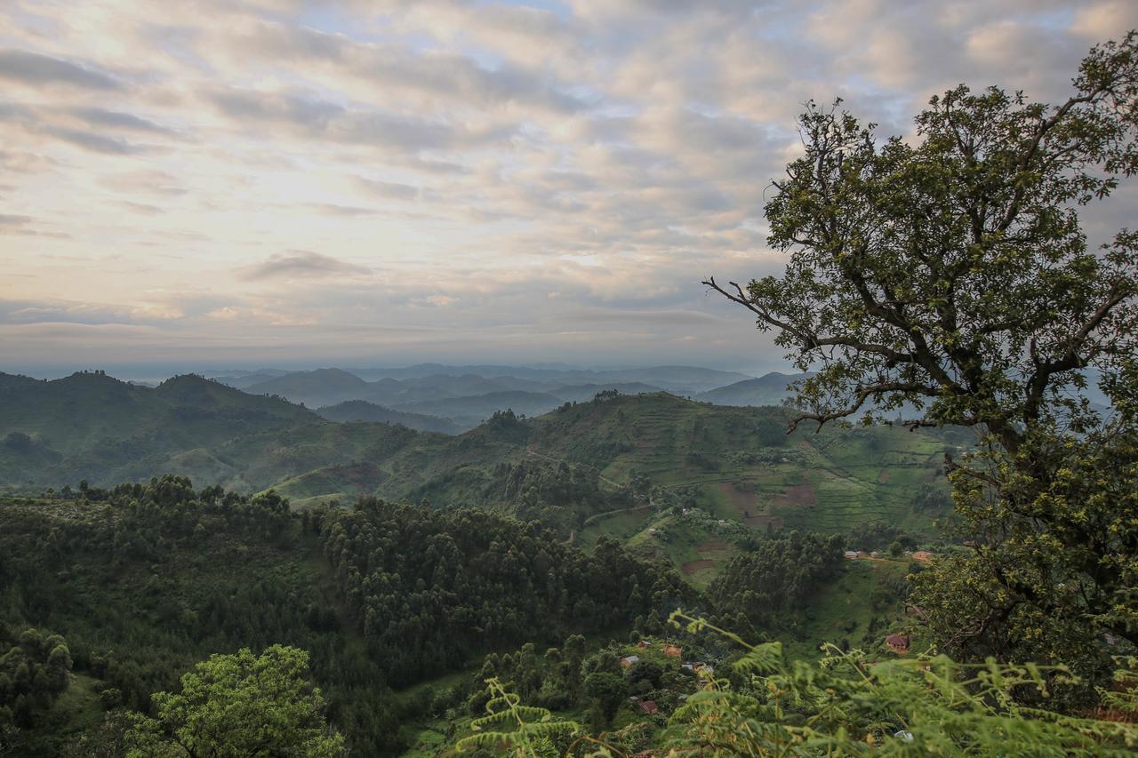 Nkuringo Bwindi Gorilla Lodge Eksteriør billede